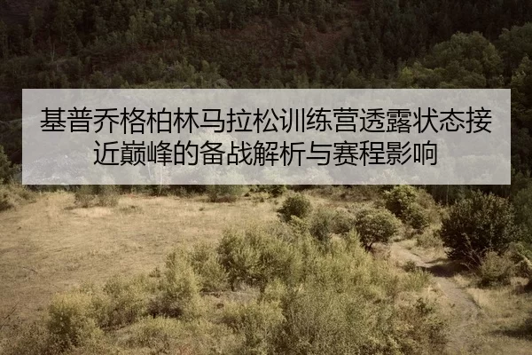 ji-pu-qiao-ge-bo-lin-ma-la-song-xun-lian-ying-tou-lu-zhuang-tai-jie-jin-dian-feng-de-bei-zhan-jie-xi-yu-sai-cheng-ying-2-566.jpg