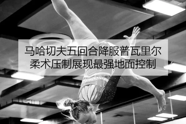 马哈切夫五回合降服普瓦里尔 柔术压制展现最强地面控制