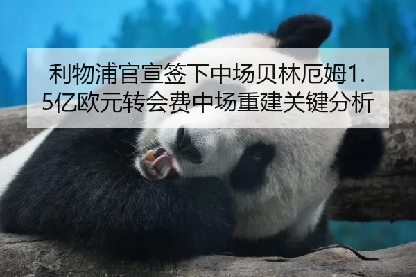 利物浦官宣签下中场贝林厄姆1.5亿欧元转会费中场重建关键分析